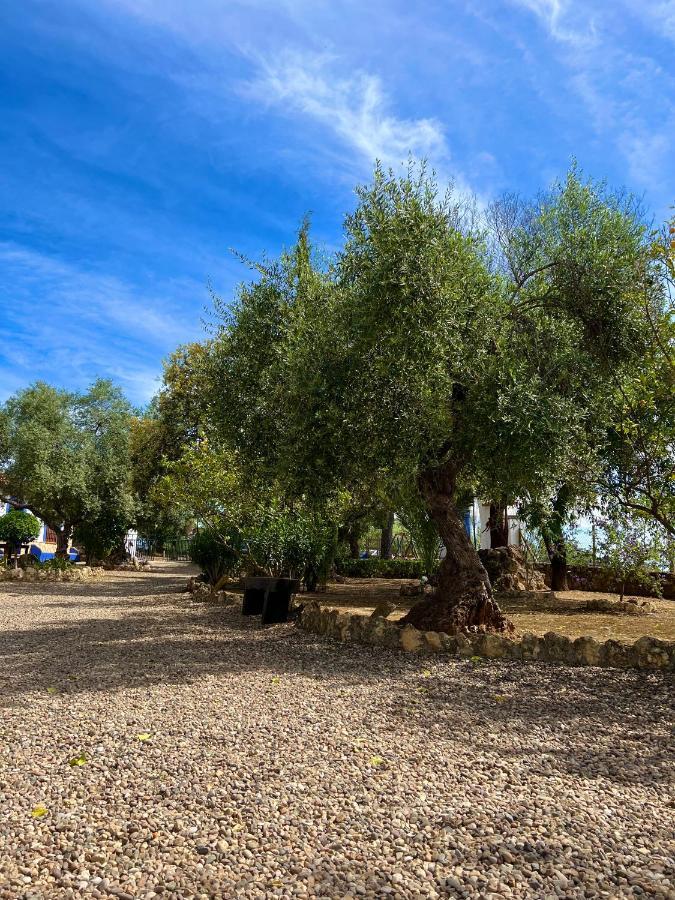 Complejo Rural Mirador De La Alcaidia Villa Орначуелос Екстериор снимка
